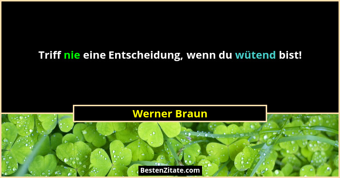 Triff nie eine Entscheidung, wenn du wütend bist!... - Werner Braun