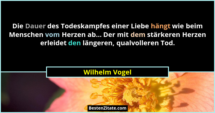 Die Dauer des Todeskampfes einer Liebe hängt wie beim Menschen vom Herzen ab... Der mit dem stärkeren Herzen erleidet den längeren, qu... - Wilhelm Vogel