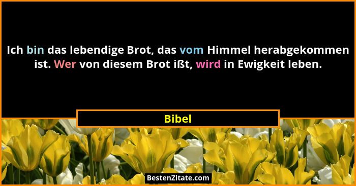 Ich bin das lebendige Brot, das vom Himmel herabgekommen ist. Wer von diesem Brot ißt, wird in Ewigkeit leben.... - Bibel