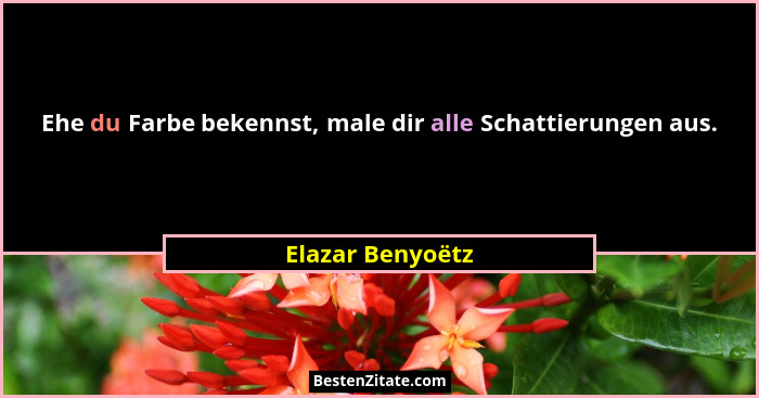 Ehe du Farbe bekennst, male dir alle Schattierungen aus.... - Elazar Benyoëtz