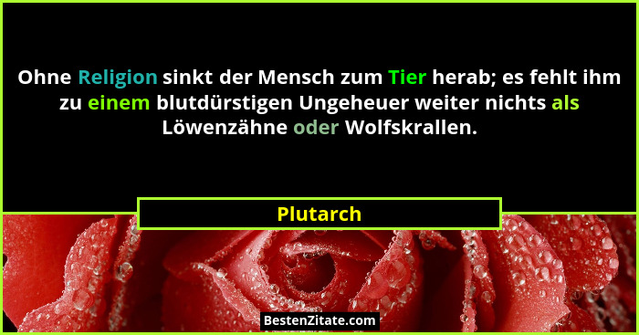 Ohne Religion sinkt der Mensch zum Tier herab; es fehlt ihm zu einem blutdürstigen Ungeheuer weiter nichts als Löwenzähne oder Wolfskrallen... - Plutarch