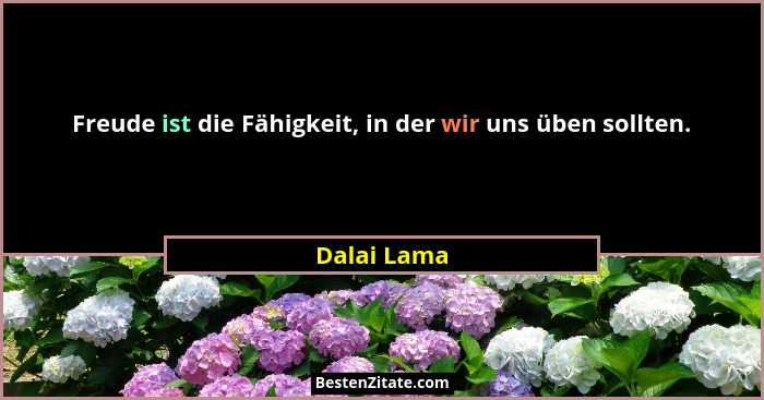 Freude ist die Fähigkeit, in der wir uns üben sollten.... - Dalai Lama