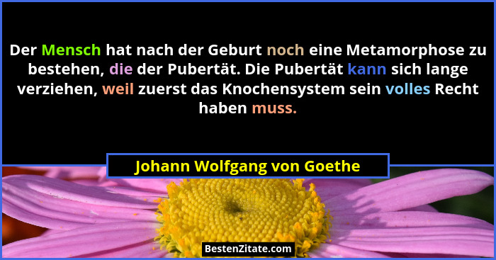 Der Mensch hat nach der Geburt noch eine Metamorphose zu bestehen, die der Pubertät. Die Pubertät kann sich lange verzieh... - Johann Wolfgang von Goethe