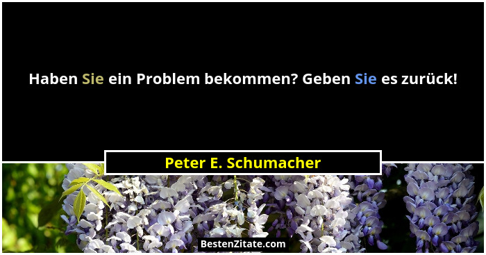 Haben Sie ein Problem bekommen? Geben Sie es zurück!... - Peter E. Schumacher