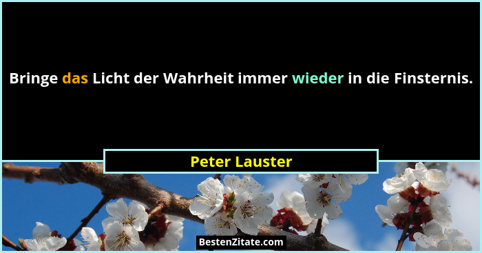 Bringe das Licht der Wahrheit immer wieder in die Finsternis.... - Peter Lauster
