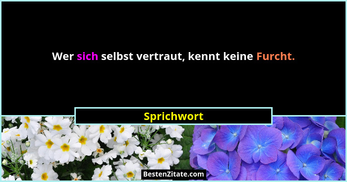 Wer sich selbst vertraut, kennt keine Furcht.... - Sprichwort