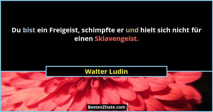 Du bist ein Freigeist, schimpfte er und hielt sich nicht für einen Sklavengeist.... - Walter Ludin