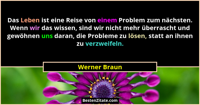 Das Leben ist eine Reise von einem Problem zum nächsten. Wenn wir das wissen, sind wir nicht mehr überrascht und gewöhnen uns daran, di... - Werner Braun