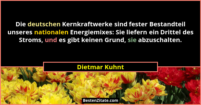 Die deutschen Kernkraftwerke sind fester Bestandteil unseres nationalen Energiemixes: Sie liefern ein Drittel des Stroms, und es gibt... - Dietmar Kuhnt