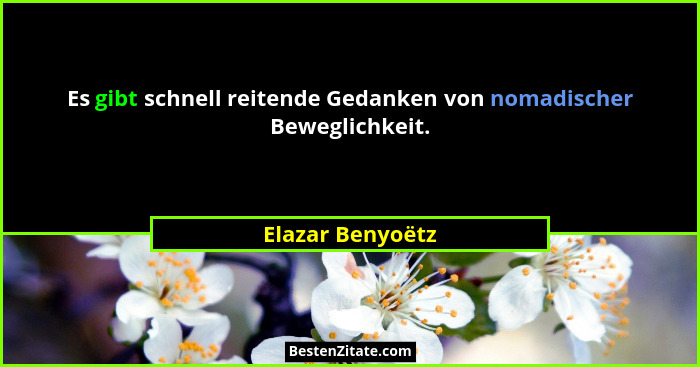 Es gibt schnell reitende Gedanken von nomadischer Beweglichkeit.... - Elazar Benyoëtz