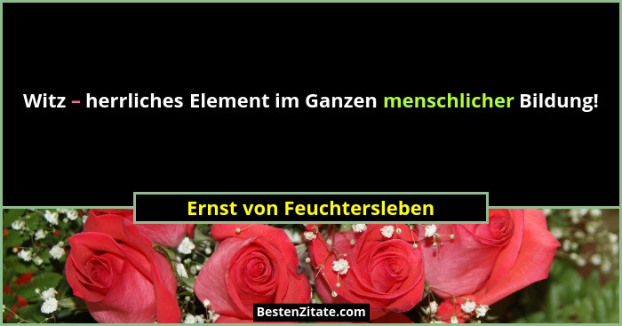 Witz – herrliches Element im Ganzen menschlicher Bildung!... - Ernst von Feuchtersleben