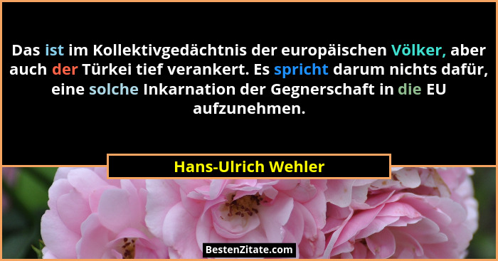 Das ist im Kollektivgedächtnis der europäischen Völker, aber auch der Türkei tief verankert. Es spricht darum nichts dafür, eine... - Hans-Ulrich Wehler