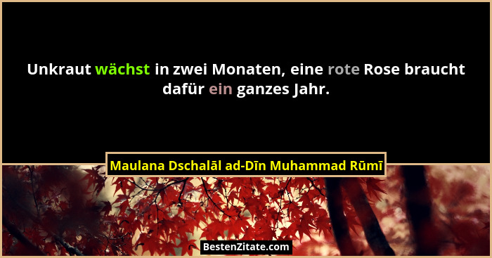 Unkraut wächst in zwei Monaten, eine rote Rose braucht dafür ein ganzes Jahr.... - Maulana Dschalāl ad-Dīn Muhammad Rūmī