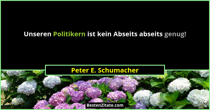 Unseren Politikern ist kein Abseits abseits genug!... - Peter E. Schumacher