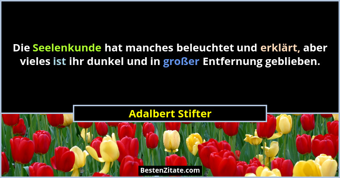 Die Seelenkunde hat manches beleuchtet und erklärt, aber vieles ist ihr dunkel und in großer Entfernung geblieben.... - Adalbert Stifter