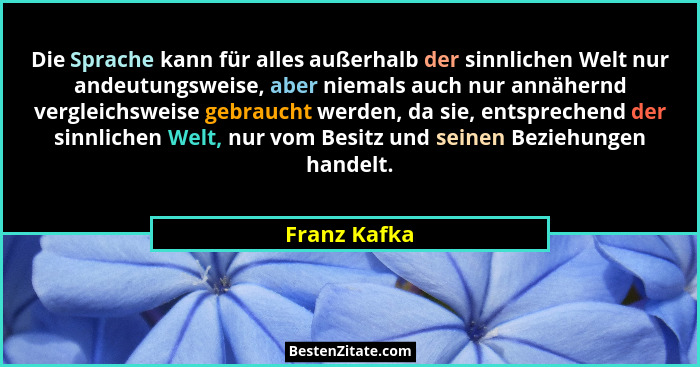 Die Sprache kann für alles außerhalb der sinnlichen Welt nur andeutungsweise, aber niemals auch nur annähernd vergleichsweise gebraucht... - Franz Kafka