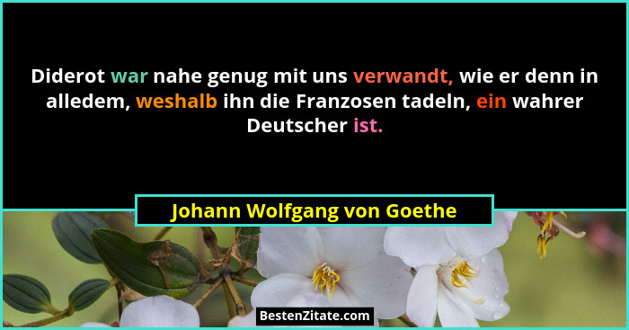 Diderot war nahe genug mit uns verwandt, wie er denn in alledem, weshalb ihn die Franzosen tadeln, ein wahrer Deutscher i... - Johann Wolfgang von Goethe