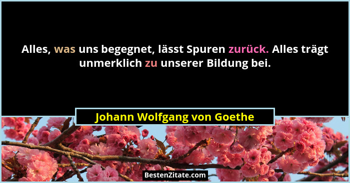 Alles, was uns begegnet, lässt Spuren zurück. Alles trägt unmerklich zu unserer Bildung bei.... - Johann Wolfgang von Goethe
