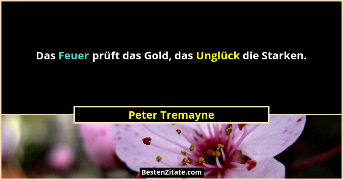 Das Feuer prüft das Gold, das Unglück die Starken.... - Peter Tremayne