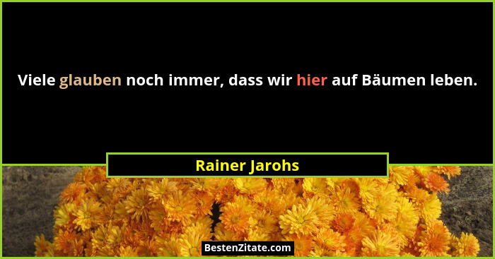 Viele glauben noch immer, dass wir hier auf Bäumen leben.... - Rainer Jarohs