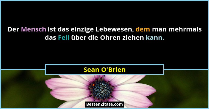 Der Mensch ist das einzige Lebewesen, dem man mehrmals das Fell über die Ohren ziehen kann.... - Sean O'Brien