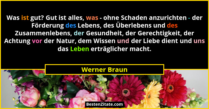 Was ist gut? Gut ist alles, was - ohne Schaden anzurichten - der Förderung des Lebens, des Überlebens und des Zusammenlebens, der Gesun... - Werner Braun