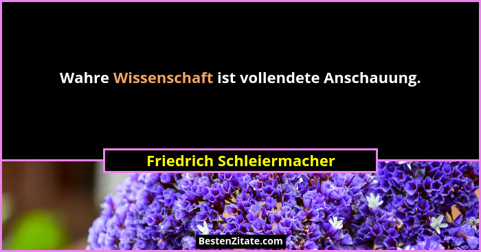 Wahre Wissenschaft ist vollendete Anschauung.... - Friedrich Schleiermacher