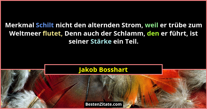 Merkmal Schilt nicht den alternden Strom, weil er trübe zum Weltmeer flutet, Denn auch der Schlamm, den er führt, ist seiner Stärke e... - Jakob Bosshart