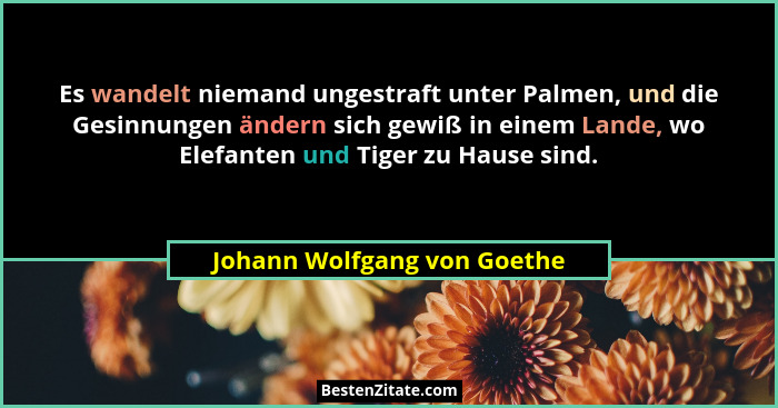 Es wandelt niemand ungestraft unter Palmen, und die Gesinnungen ändern sich gewiß in einem Lande, wo Elefanten und Tiger... - Johann Wolfgang von Goethe