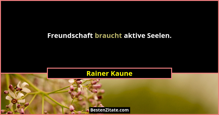 Freundschaft braucht aktive Seelen.... - Rainer Kaune