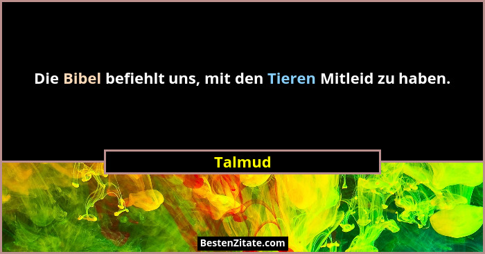 Die Bibel befiehlt uns, mit den Tieren Mitleid zu haben.... - Talmud