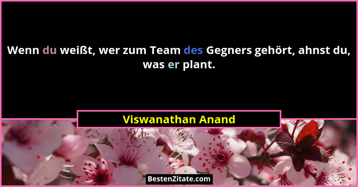 Wenn du weißt, wer zum Team des Gegners gehört, ahnst du, was er plant.... - Viswanathan Anand
