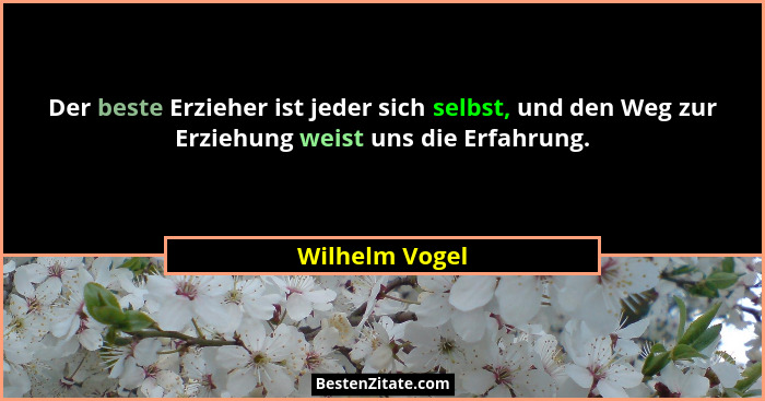 Der beste Erzieher ist jeder sich selbst, und den Weg zur Erziehung weist uns die Erfahrung.... - Wilhelm Vogel