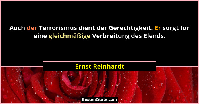 Auch der Terrorismus dient der Gerechtigkeit: Er sorgt für eine gleichmäßige Verbreitung des Elends.... - Ernst Reinhardt