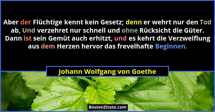 Aber der Flüchtige kennt kein Gesetz; denn er wehrt nur den Tod ab, Und verzehret nur schnell und ohne Rücksicht die Güte... - Johann Wolfgang von Goethe
