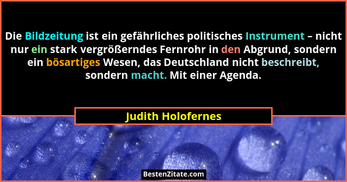 Die Bild­zei­tung ist ein ge­fähr­li­ches po­li­ti­sches In­stru­ment – nicht nur ein stark ver­grö­ßern­des Fern­rohr in den Ab­g... - Judith Holofernes