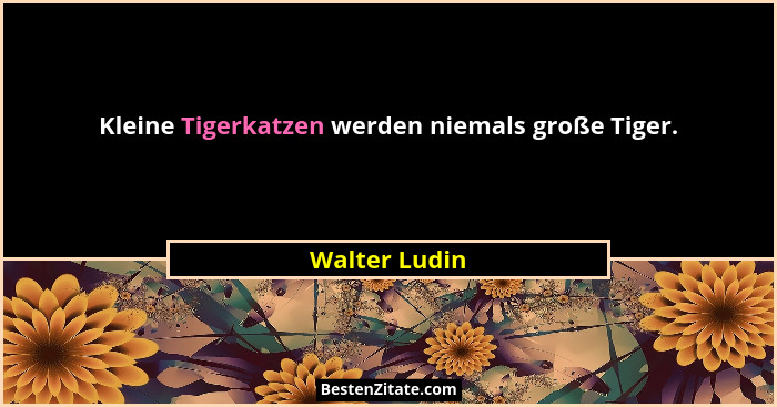 Kleine Tigerkatzen werden niemals große Tiger.... - Walter Ludin