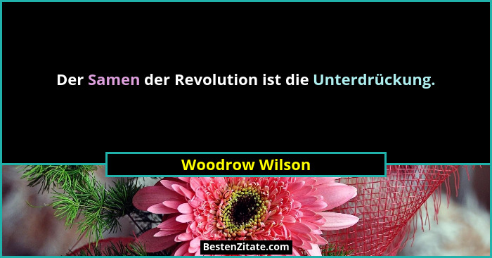 Der Samen der Revolution ist die Unterdrückung.... - Woodrow Wilson