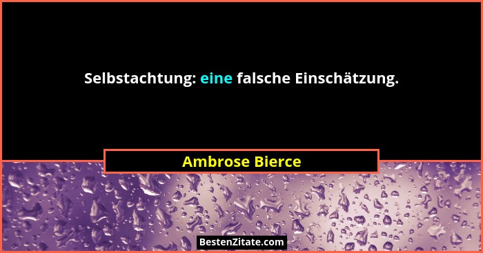 Selbstachtung: eine falsche Einschätzung.... - Ambrose Bierce