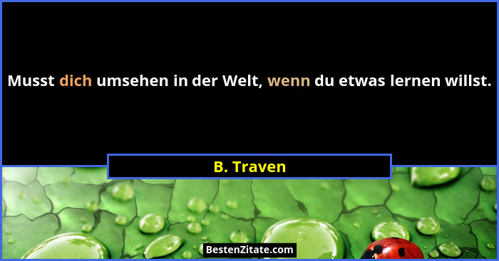Musst dich umsehen in der Welt, wenn du etwas lernen willst.... - B. Traven