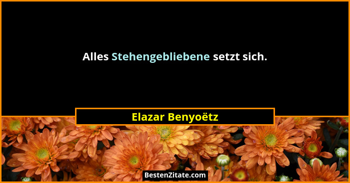 Alles Stehengebliebene setzt sich.... - Elazar Benyoëtz