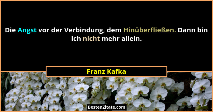 Die Angst vor der Verbindung, dem Hinüberfließen. Dann bin ich nicht mehr allein.... - Franz Kafka