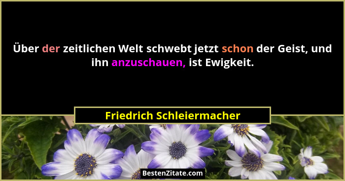 Über der zeitlichen Welt schwebt jetzt schon der Geist, und ihn anzuschauen, ist Ewigkeit.... - Friedrich Schleiermacher