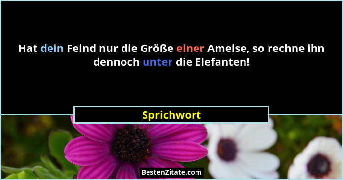 Hat dein Feind nur die Größe einer Ameise, so rechne ihn dennoch unter die Elefanten!... - Sprichwort