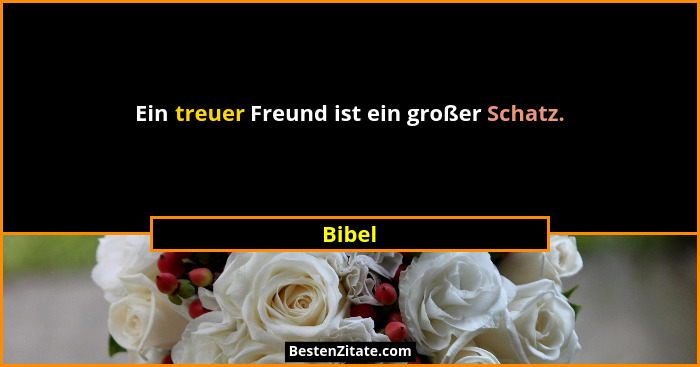 Ein treuer Freund ist ein großer Schatz.... - Bibel