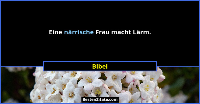 Eine närrische Frau macht Lärm.... - Bibel