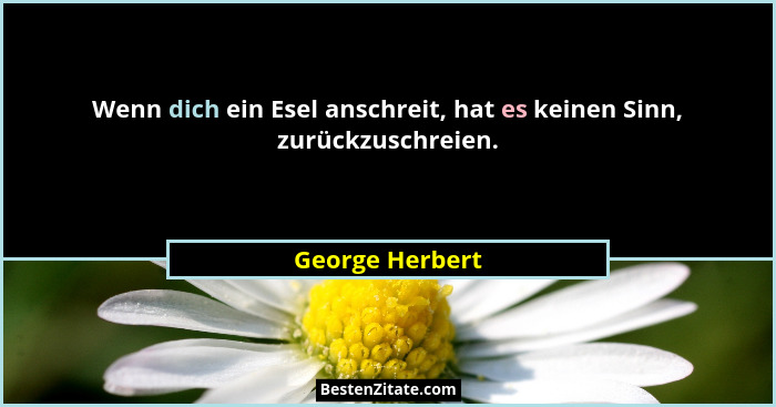 Wenn dich ein Esel anschreit, hat es keinen Sinn, zurückzuschreien.... - George Herbert