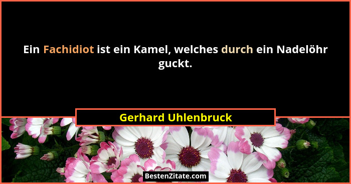 Ein Fachidiot ist ein Kamel, welches durch ein Nadelöhr guckt.... - Gerhard Uhlenbruck