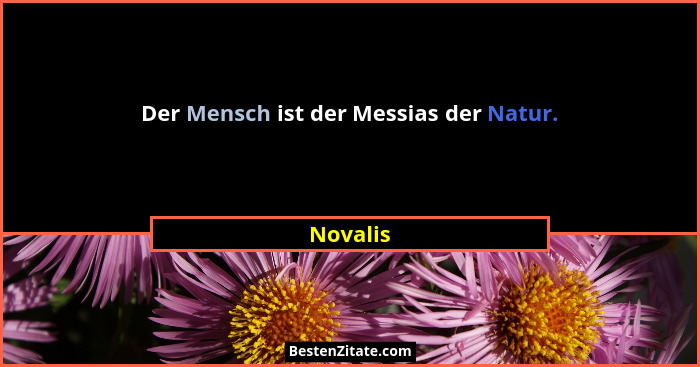Der Mensch ist der Messias der Natur.... - Novalis