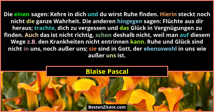 Die einen sagen: Kehre in dich und du wirst Ruhe finden. Hierin steckt noch nicht die ganze Wahrheit. Die anderen hingegen sagen: Flüc... - Blaise Pascal